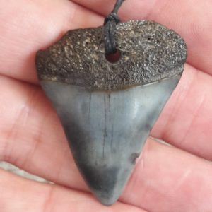FOSSIL SHARK TOOTH PENDANT
