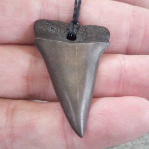 FOSSIL SHARK TOOTH PENDANT
