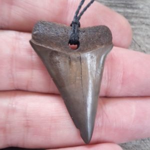 FOSSIL SHARK TOOTH PENDANT