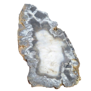 DENDRITIC AGATE MERLINITE ROUGH